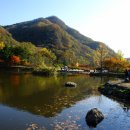 백양사 - 금천구 독산로51길 41 | 백양사