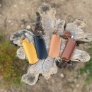 소토소토 이미지