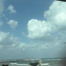 제주와서 이미지