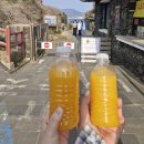 검암주민생활공간화장실(남) | 2026-1 제주도 춘계답사 기록