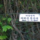 도원정형외과의원 이미지