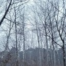 발화동길 이미지