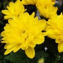 반가운공간 이미지