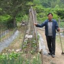 신실 어린이집 이미지