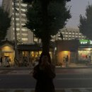 025S 티솔로지 이미지