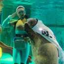 (주)게임스퀘어 이미지