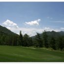 용평 버치힐골프클럽 이미지