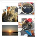 (15년 10/29일)여수 갑오징어 조행후기입니다~~ 이미지