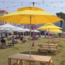 버들놀이터공원 (옥외1) | 2026 고창 벚꽃축제 후기 먹거리 셔틀버스 포토존까지 대만족