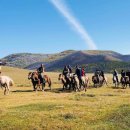 알타이항공(주) 이미지