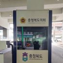 피알리아