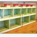 품 동물병원 이미지