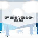 레이저솔루션 이미지