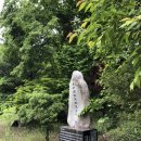 단양우체국 1층 | 2021 단양(영월?) 봄 캠핑. 계곡 즐기기, 난고 김삿갓 문학관, 다슬기 비빔밥