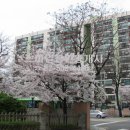 스마일공인중개사사무소 이미지