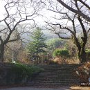 초계석재 | 합천...허굴산 청강사. 부도