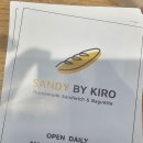 샌디바이키로 이미지