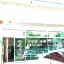 신화반점 이미지
