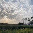 트레이닝팜트리 이미지