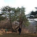 횡성한우농촌융복합산업지원센터