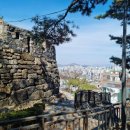 응봉공원3 이미지