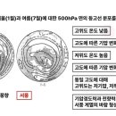 중위도 풍향 이미지