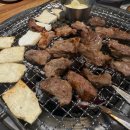 초원갈매기 이미지