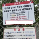 정운공순의비 이미지