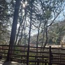 행복세탁소 | 부산 어린이대공원 2번째😊