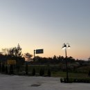 다담카페(cafe)