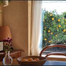 스테이 리네 이미지