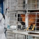 말바우 농장 이미지