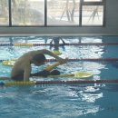 아쿠아 프랜즈 이미지