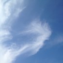 경기운수(주) 네이버블로그
