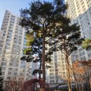 아인플러스치과의원 이미지