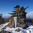 박지산 티스토리