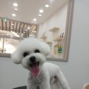 슈멍드아 이미지