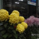 최신양행 - 전주시 덕진구 쪽구름로 76 | 최신양행
