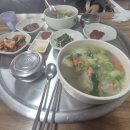 육일원조명태탕 네이버블로그