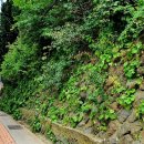 진흥민박 이미지