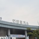 6153 | 언양휴게소 맛집 추천 | 울산 가는 길 필수 코스 간식부터 식사까지 솔직후기