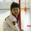 화이트 타이거 태권도 이미지