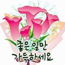 쑥부쟁이(용산저수지)둘레길 이미지