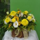 메리골드shop 이미지