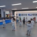 용인대 국기 태권도장 | 매대 태권도 용인대매교태권도장 후기