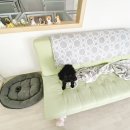 소울도기 이미지