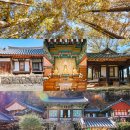 용연리 1341-19 정자 - 1765 | 전남 곡성 가볼만한곳 함허정, 도림사 역사 여행