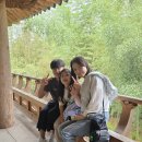 죽녹원아래대나무세상