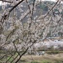 (주)프라임월드 이미지