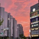 조하 | 회전초밥 조하 ~🍣 / 재돈재산 / 후기